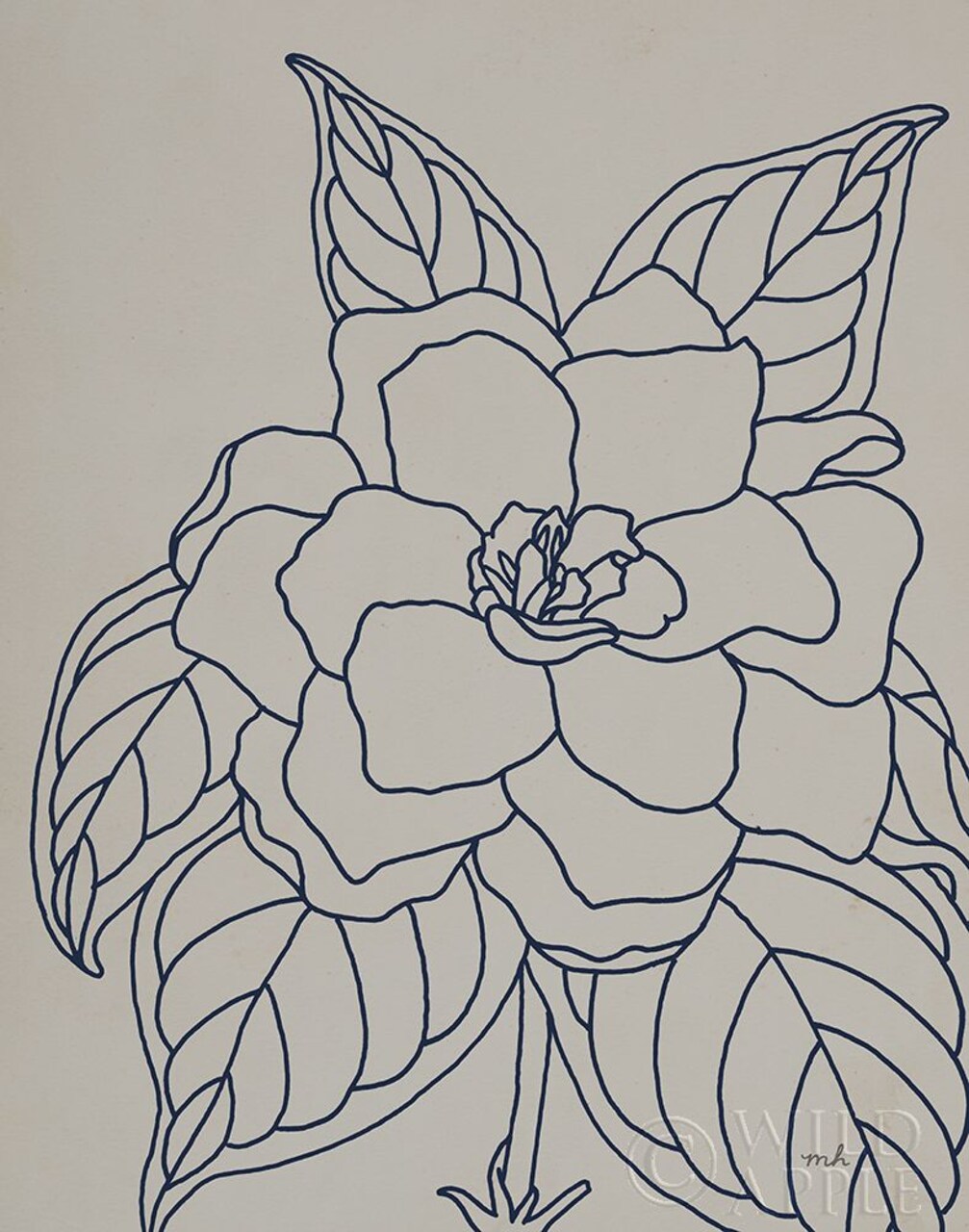 Gardenia Line Drawing Gray Crop Poster Print by Moira Hershey # 56058